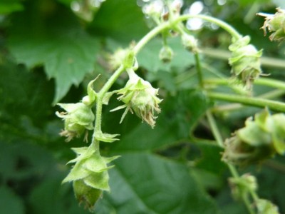 035 - Kopie (640x480).jpg