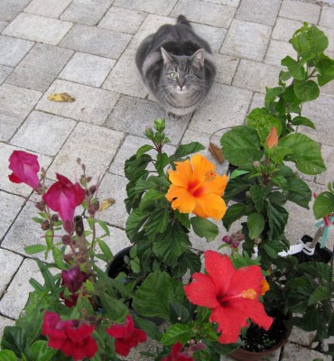 Das Mädchen_0010.jpg