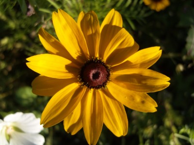 S1030612.JPG