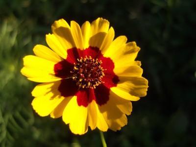 S1030611.JPG