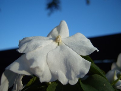 S1030595.JPG