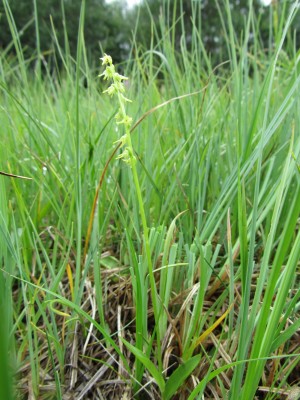 IMG_0857 - Kopie.JPG