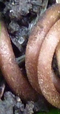 Raetsel 36 (8) (340x640) - Kopie.jpg