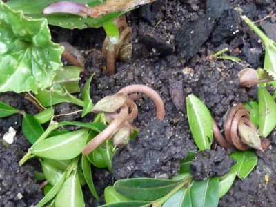 Raetsel 36 (3) - Kopie (640x480).jpg