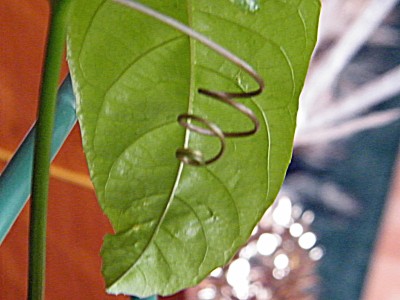August-2011 011.jpg