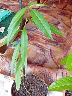 August-2011 005.jpg