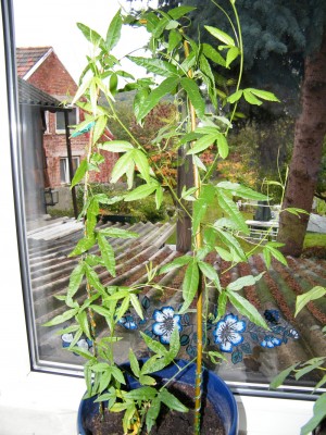 August-2011 014-1.jpg