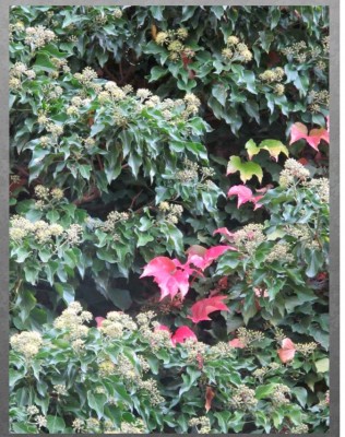 Herbst2.JPG