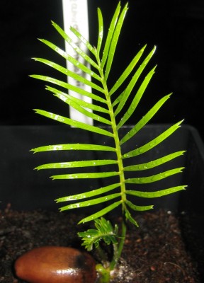 Bild green24 679.jpg
