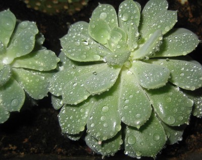 Bild green24 680.jpg