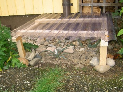 PICT1143.JPG