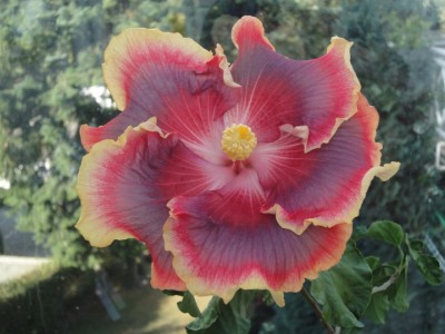 Night Runner 10-10-2011.JPG