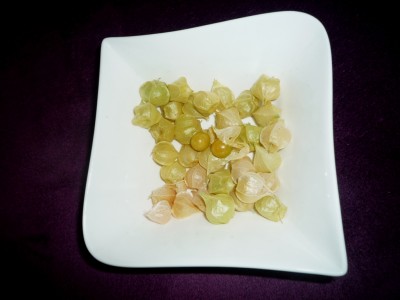 Physalis.JPG