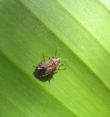 Bild green24 697.jpg