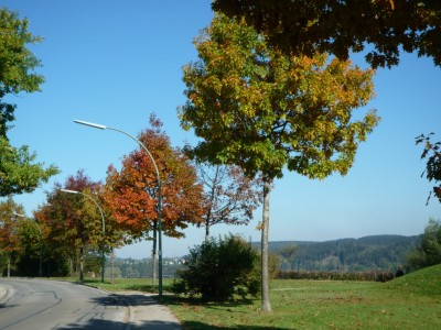 Herbst.JPG