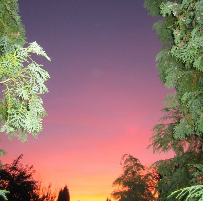 Bild green24 689.jpg