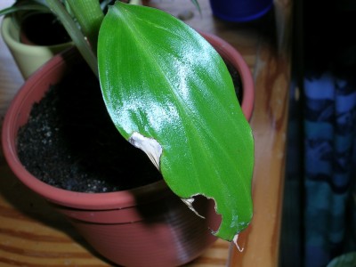 DSCN5442.JPG