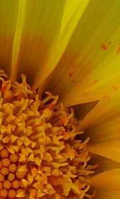 Größenänderung Ausschnitt Oktoberrätsel.jpg