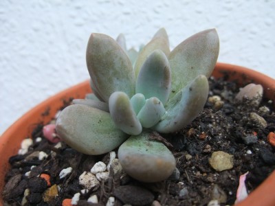 DSCF0568.JPG
