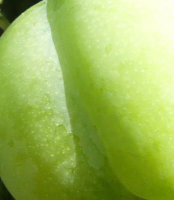 raetsel 07 - Kopie.jpg