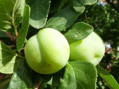 Raetsel 7 (1) - Kopie (640x480).jpg