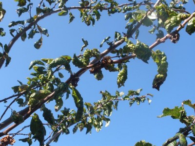 PA172636.JPG