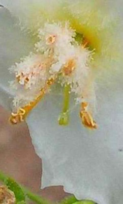 Größenänderung Ausschnitt Oktoberrätsel.jpg