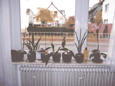 Bild 007.jpg