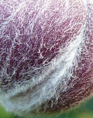 Raetsel 32 (1) - Kopie.JPG