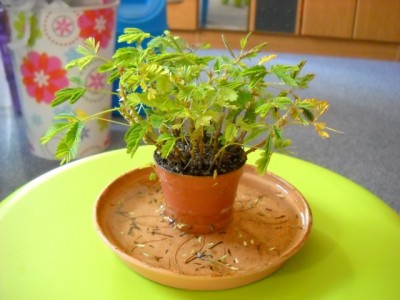 DSCN5306.JPG