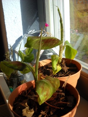 DSCN5318.JPG