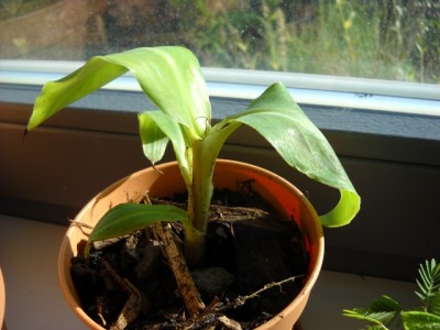 DSCN5315.JPG