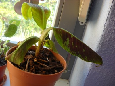 DSCN5313.JPG