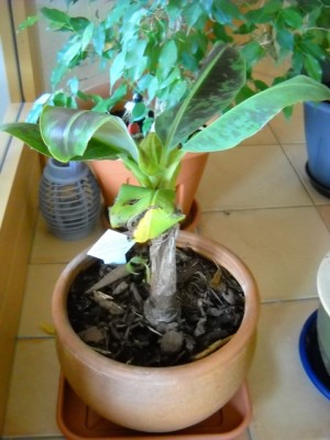 DSCN5310.JPG