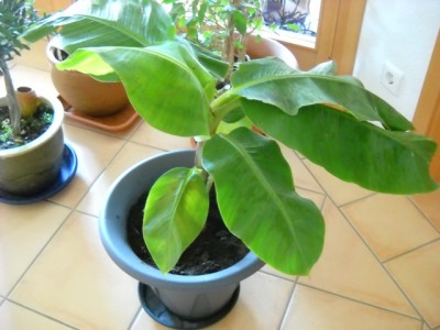 DSCN5307.JPG