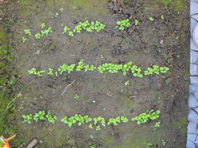 DSCN5325.JPG