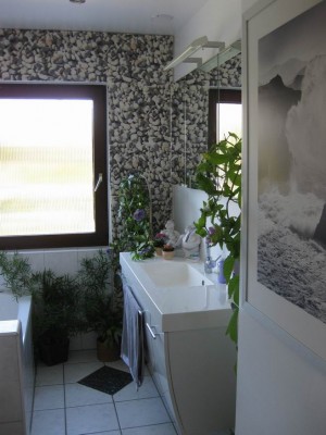 Größenänderung IMG_3458.JPG