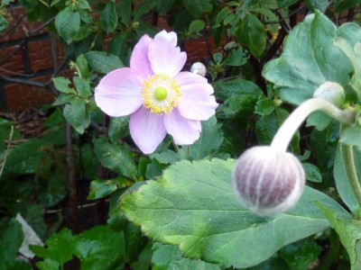 Raetsel 32 (2) - Kopie (640x480).jpg