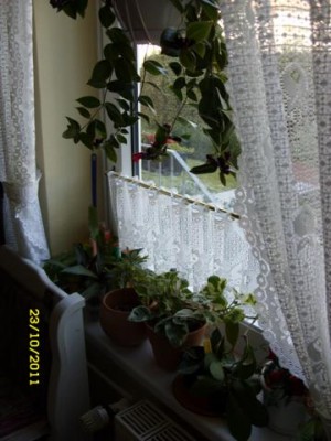 Photo8.jpg