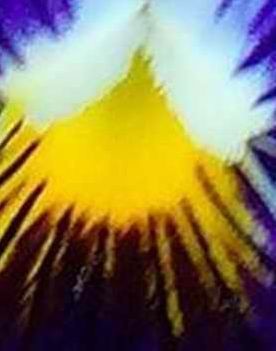 Größenänderung Ausschnitt.jpg