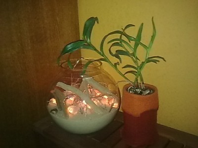 ..Epicattleya fireball...JPG