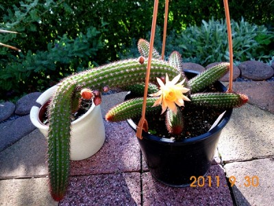DSCI0697.JPG