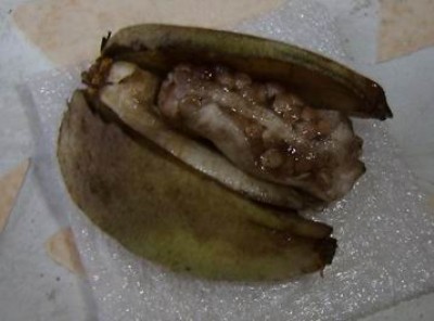 Meine Bilder 397a.jpg