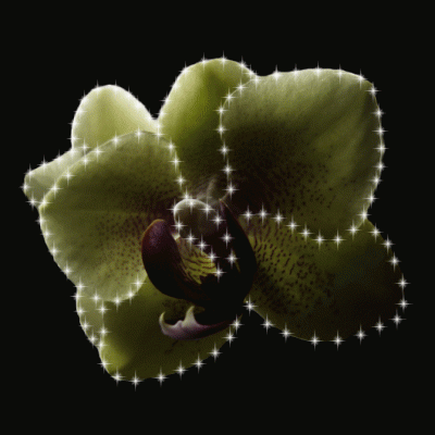 Animation8.gif