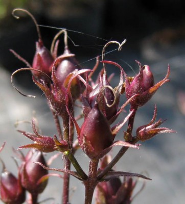 Oktoberrätsel größer_0055.jpg