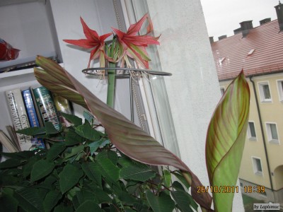 IMG_7172.JPG