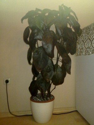 261020111487.jpg