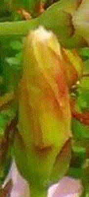 Größenänderung Ausschnitt.jpg