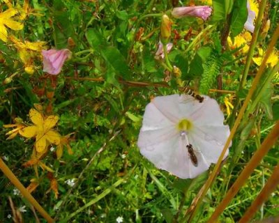 Größenänderung 100D5027.jpg