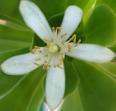 Bild green24 744.jpg